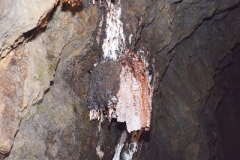 p1000858