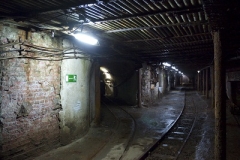 p1000871