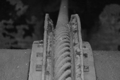 42