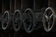 55