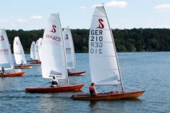 seggerlinge